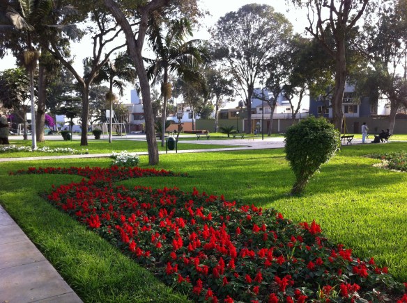 Parque. Santiago de Surco.