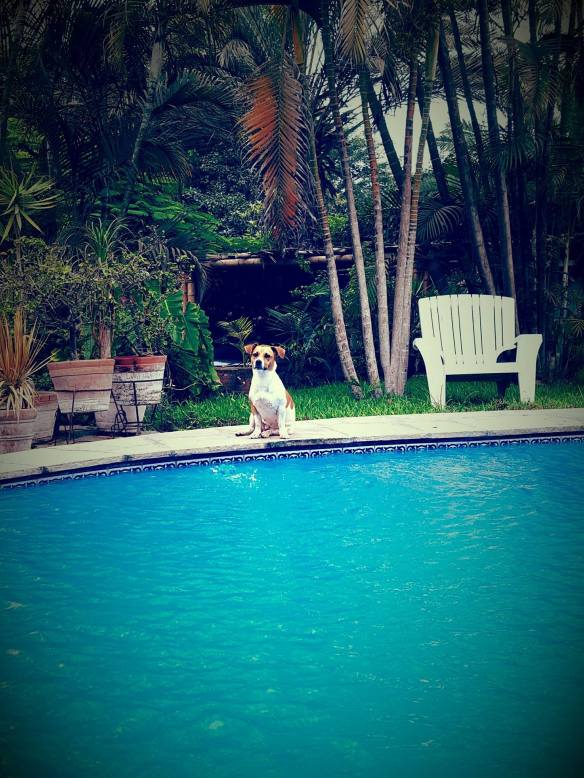 12822977_1678313539077731_2082832075_o